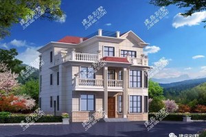 两栋农村自建别墅户型图，再多的人也不怕了！