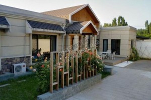 3栋农村一层别墅设计效果图，经济简约。
