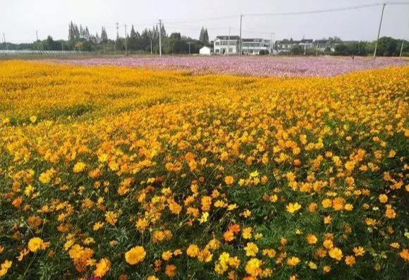 农村自建二层小别墅，1200每平包工包料，还算划算？