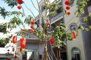 4层农村自建别墅设计实景图，全村最豪华，霸气侧漏！