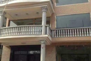 100万农村建小别墅实景图，全村最豪华的！