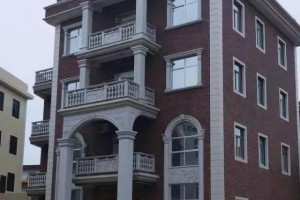 11栋农村豪华自建别墅设计方案，广东人看了也羡慕。