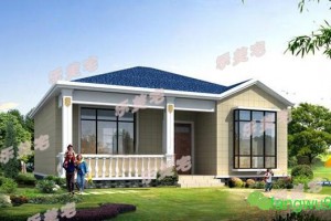 4栋一层自建别墅效果图，造价经济，施工简单。