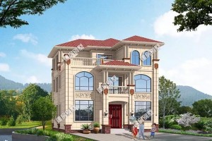 宽11米两栋农村房屋设计图纸，在全国都受青睐。