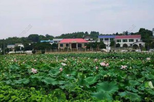 50万二层别墅设计效果图，惊艳十里八乡。