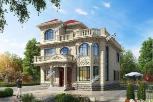 面宽11米农村自建别墅案例，路人路过都拍照，想低调都难了。