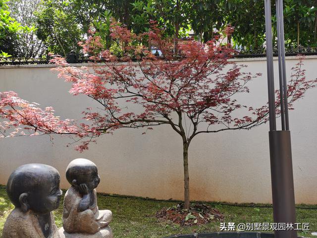 现代中式独栋别墅庭院花园 清爽 简洁 禅意 显豪宅品味