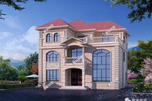 宽13米的农村自建别墅方案，好户型就是不一样。